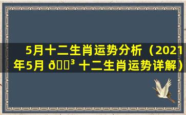 5月十二生肖运势分析（2021年5月 🐳 十二生肖运势详解）